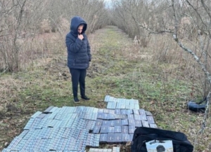 Более 110 нарушителей задержано на границе с Грузией в I квартале 2025 года