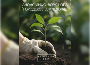 Проектный офис ФАО проведет в Сухуме воркшоп "Городское земледелие"